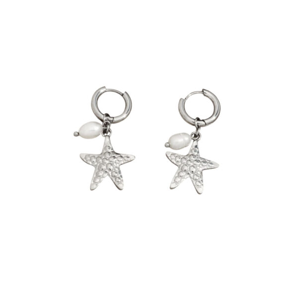 Γυναικεία Ατσάλινα Σκουλαρίκια Κρίκοι – Women’s Steel Earrings